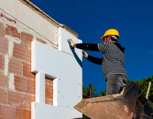 Best Insulation Materials and Products in Toro Nyon, CA