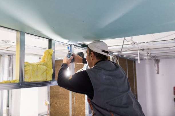 Best Insulation Maintenance and Repair in Toro Nyon, CA