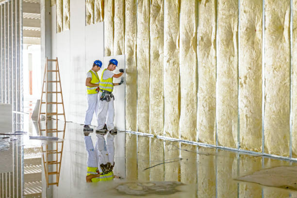Best Residential Insulation in Toro Nyon, CA